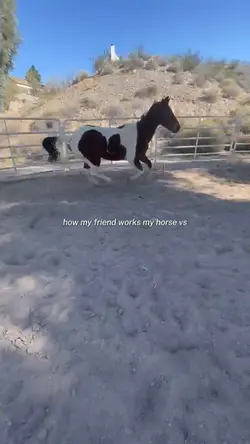 hes so cute trotting