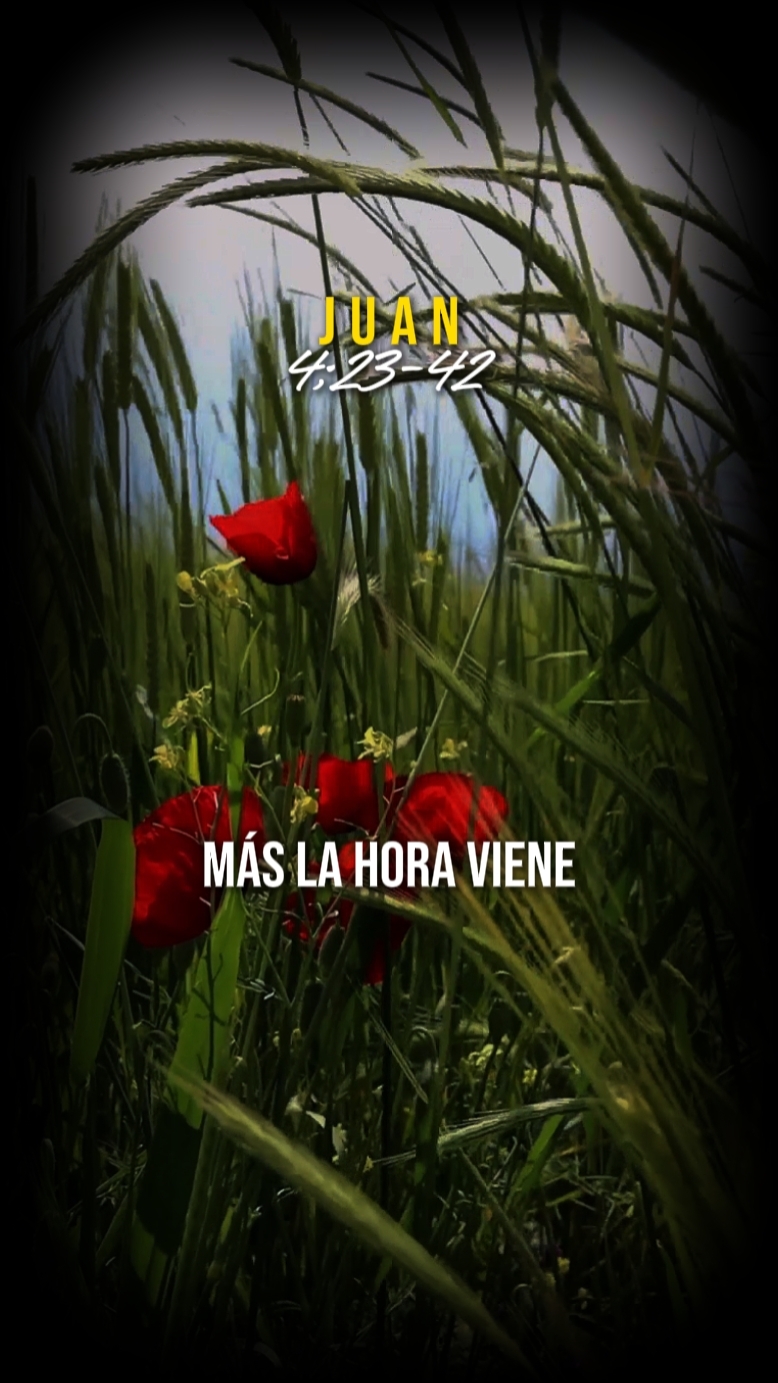 Juan 4;23-42