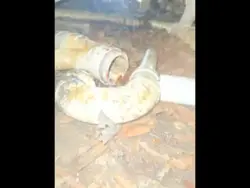hmm there trash in m