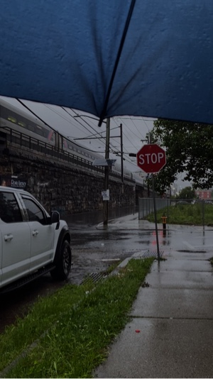 Rainy days 