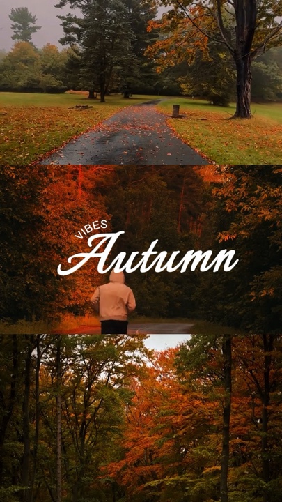 Autumn vibes 