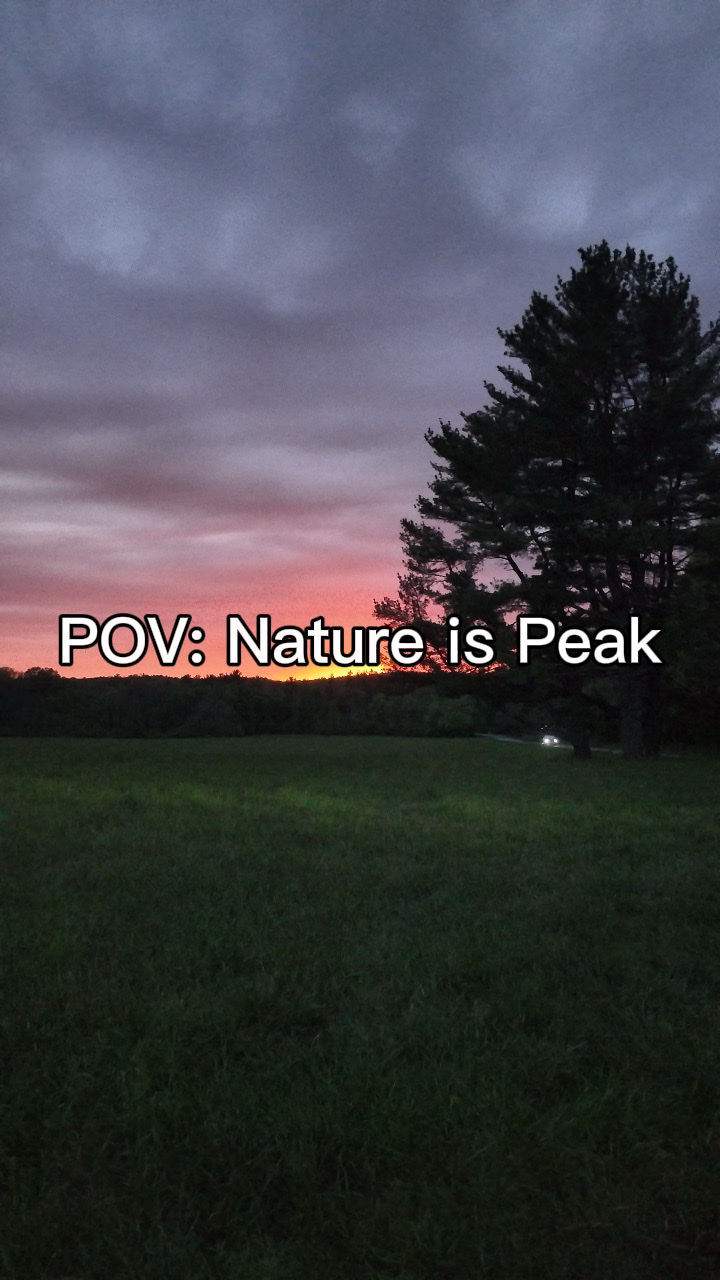 POV: Nature is Peak