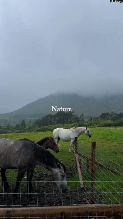 Nature