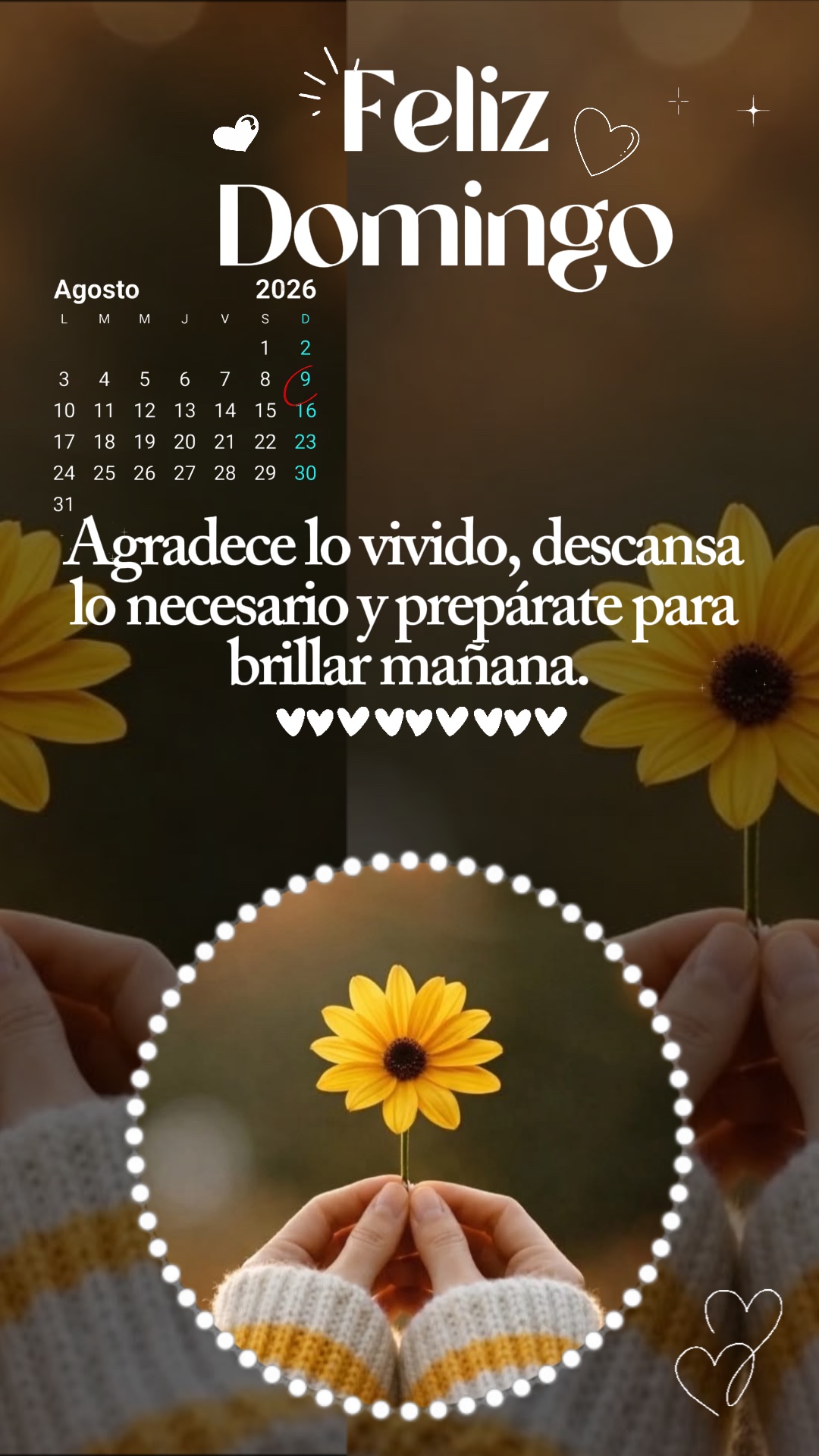 Feliz Domingo 