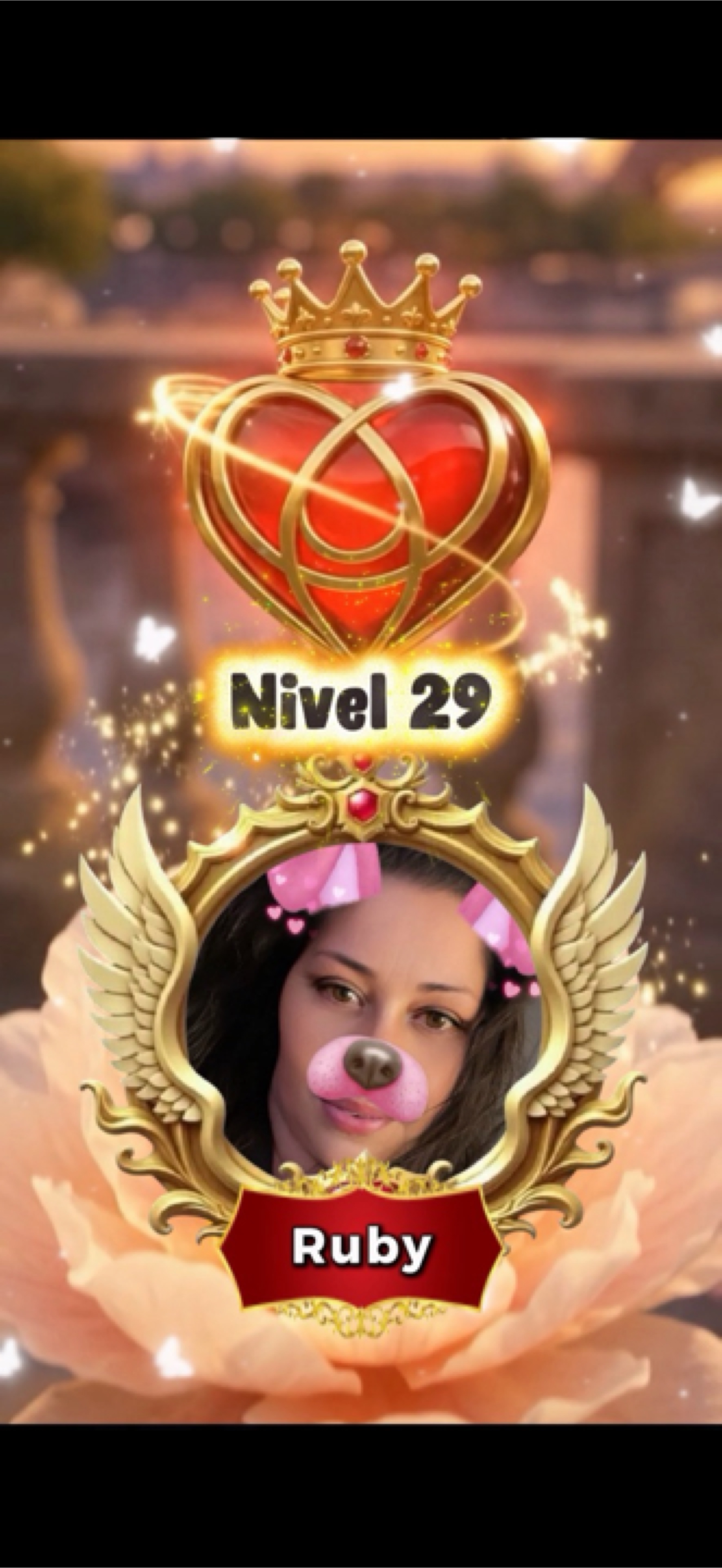 Nivel de miembro