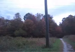 🍂🥧🤎