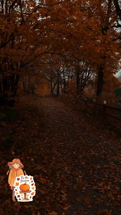 Automne 🍂 