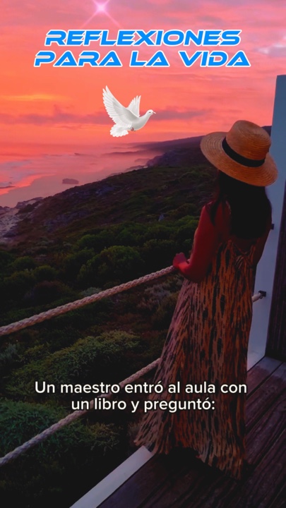 Vida 4