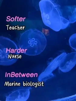 Dream job