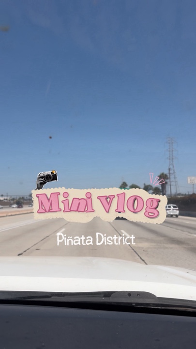Mini vlog 
