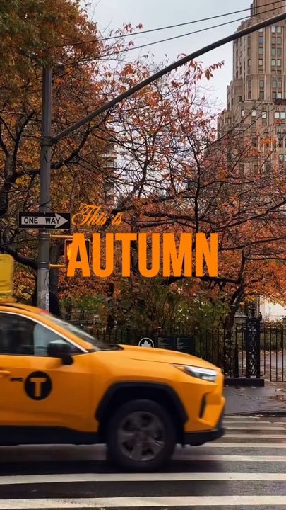 This is autumn 