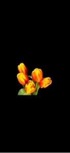 Flores floreciendo
