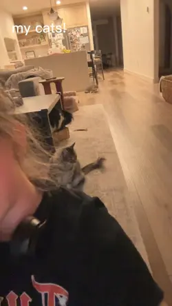 my cats!!