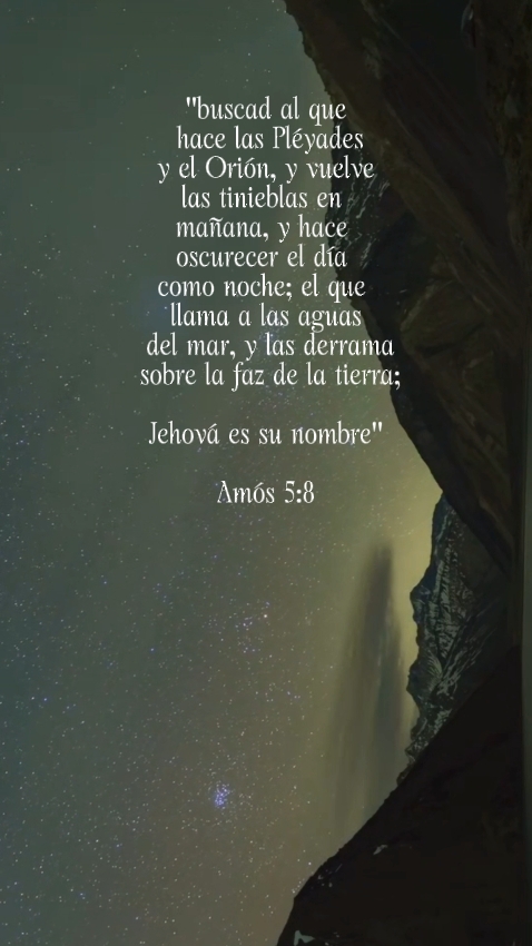 Buscad.. al creador 