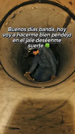 Plantillas P trabajo