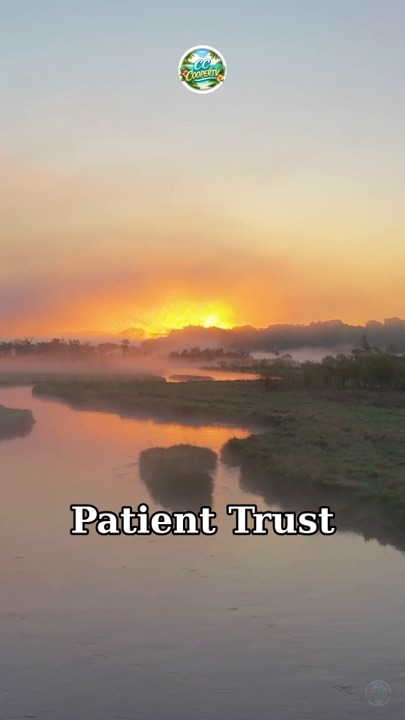 Patient Trust Prayer