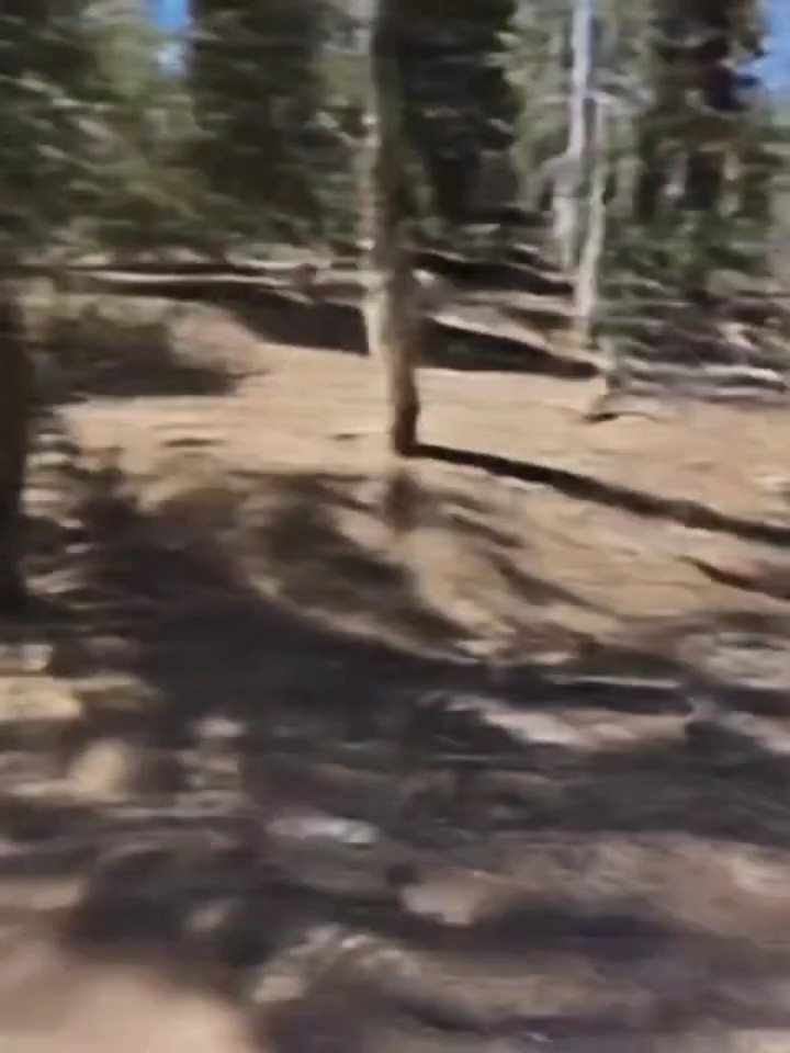 Caminata de sombras