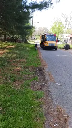 BusDrop 3D Alert