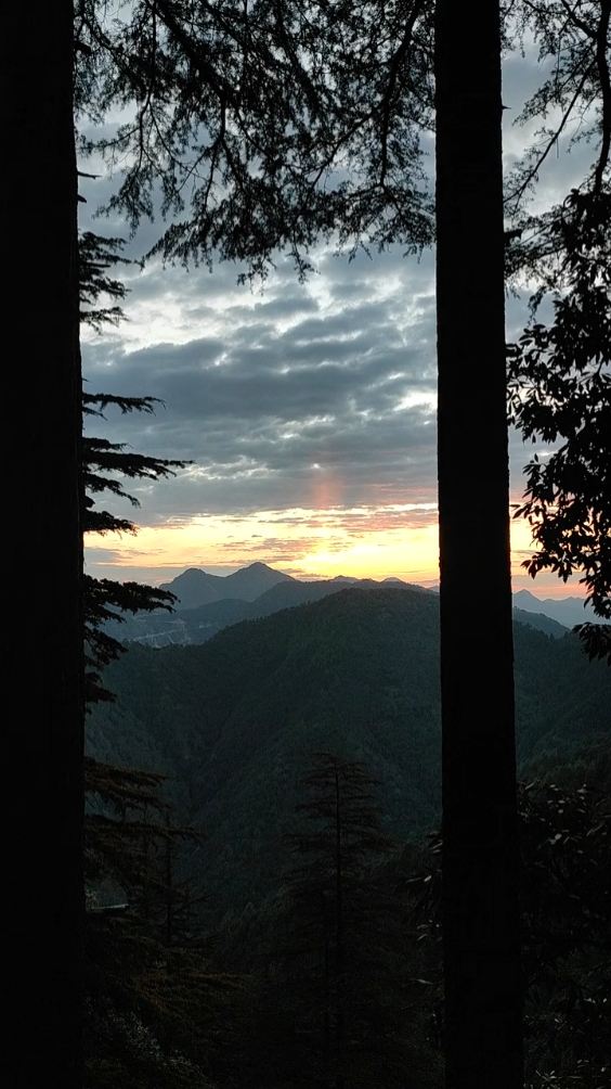 Beauty in nature