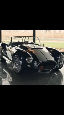 Shelby cobra 🐍🐍