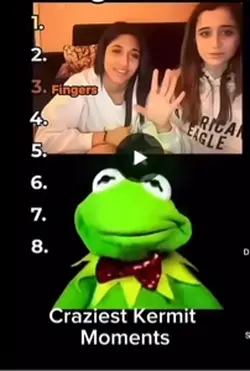 Ranking kermit