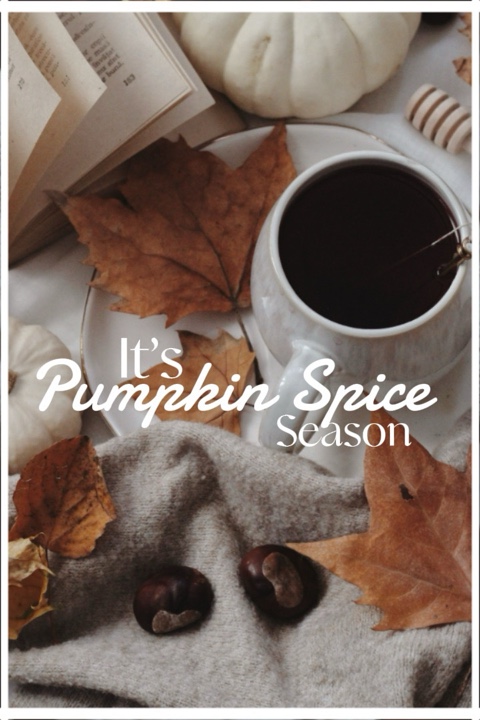 Pumpkin Spice 🚀