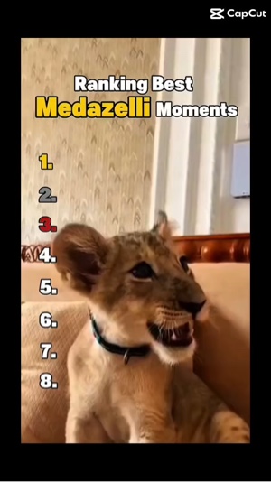 Ranking funny moment