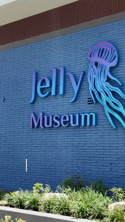 Museum vlog 