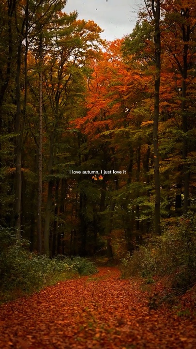 I love autumn 
