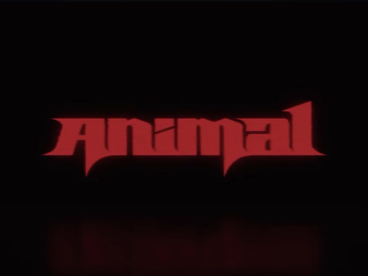 Animal lyric edit