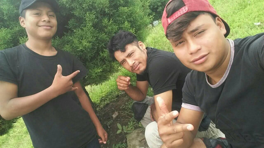 Cover Picture