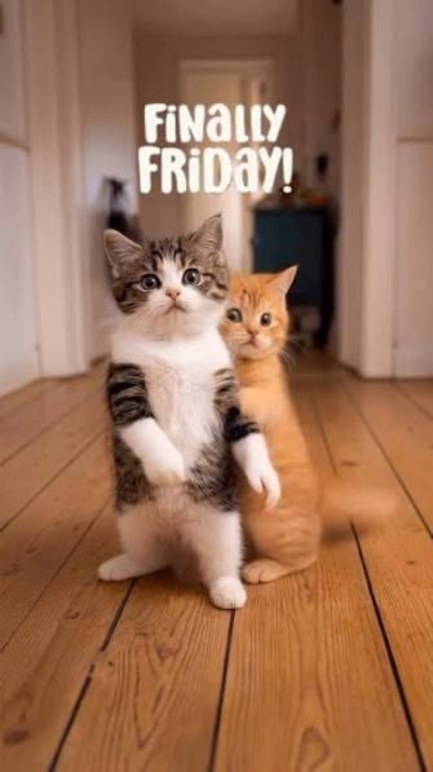 friday
