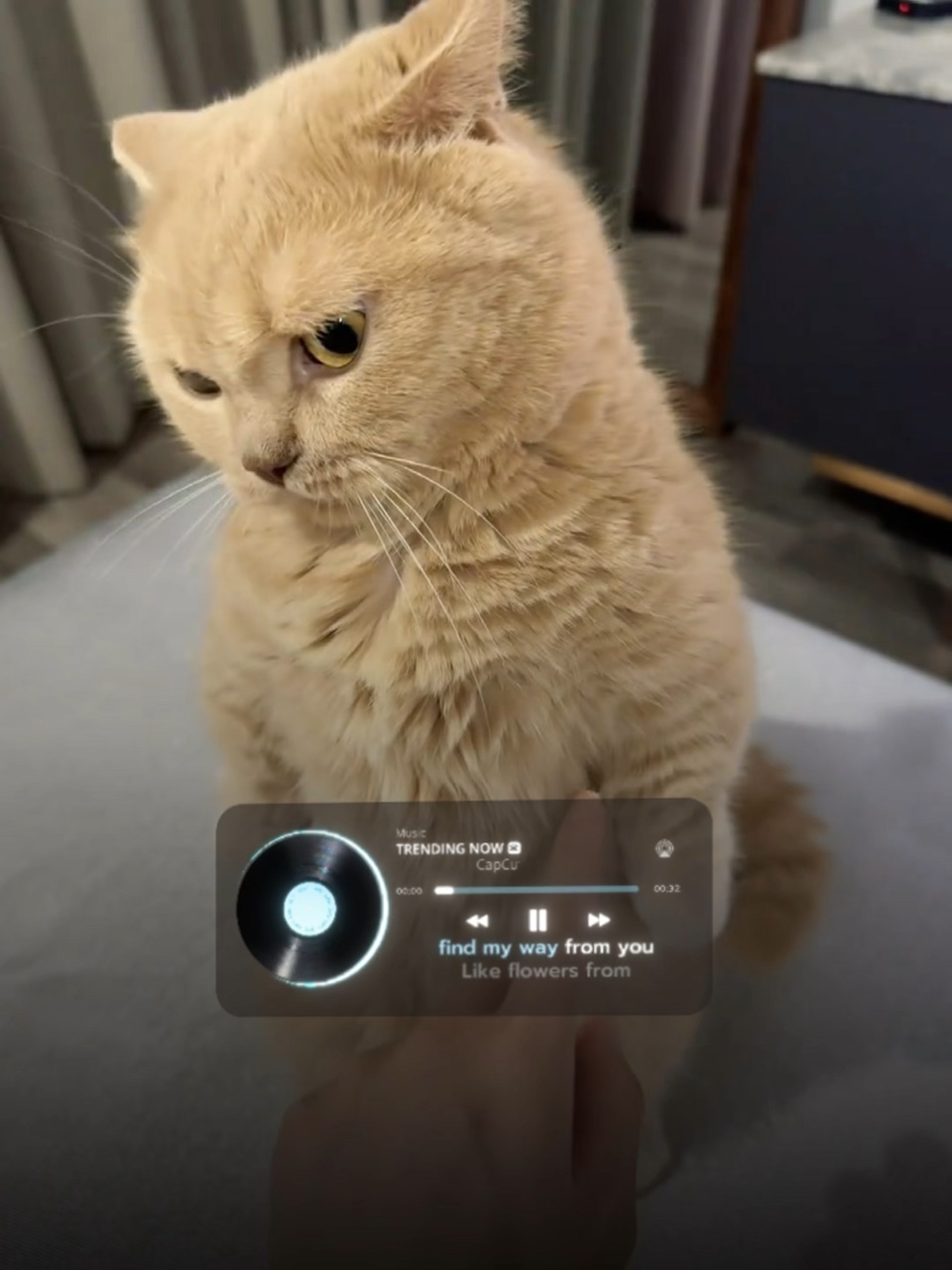 protrend cat emo