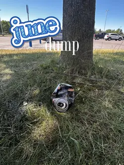 june dumpppp