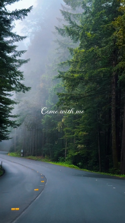 Viens avec m