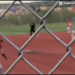 baseball edit