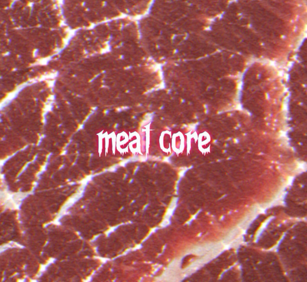 Núcleo de carne 🥩🎀