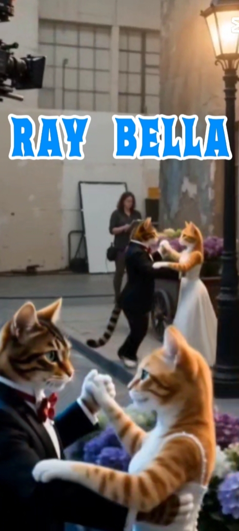 KEDİ HAYATI SEVİYORUM