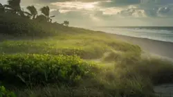 Hobe sound Beach