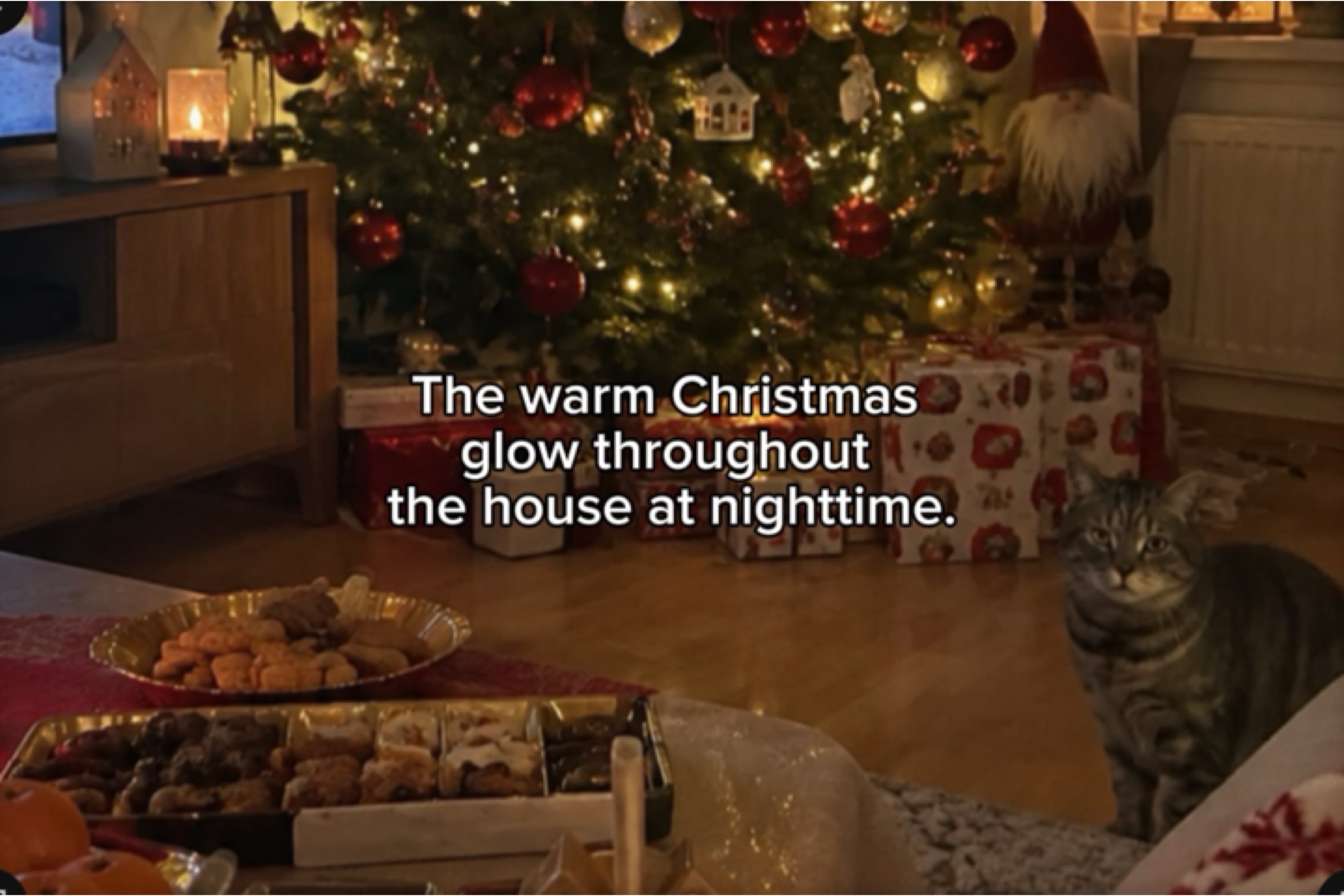 Christmas vibe 🎄🤍