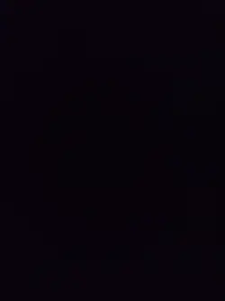 New Template