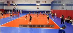 volleyballl