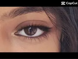 Eyes