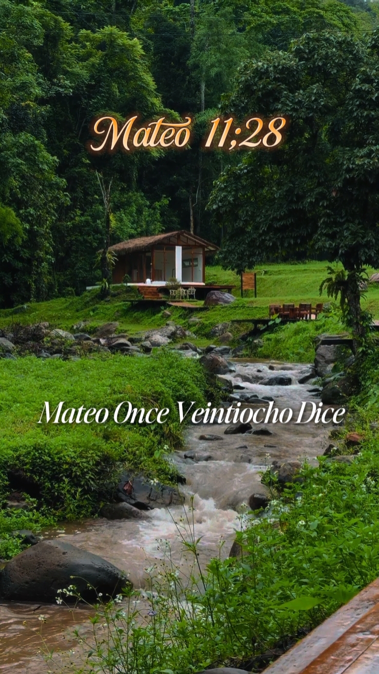 Mateo 11; 28