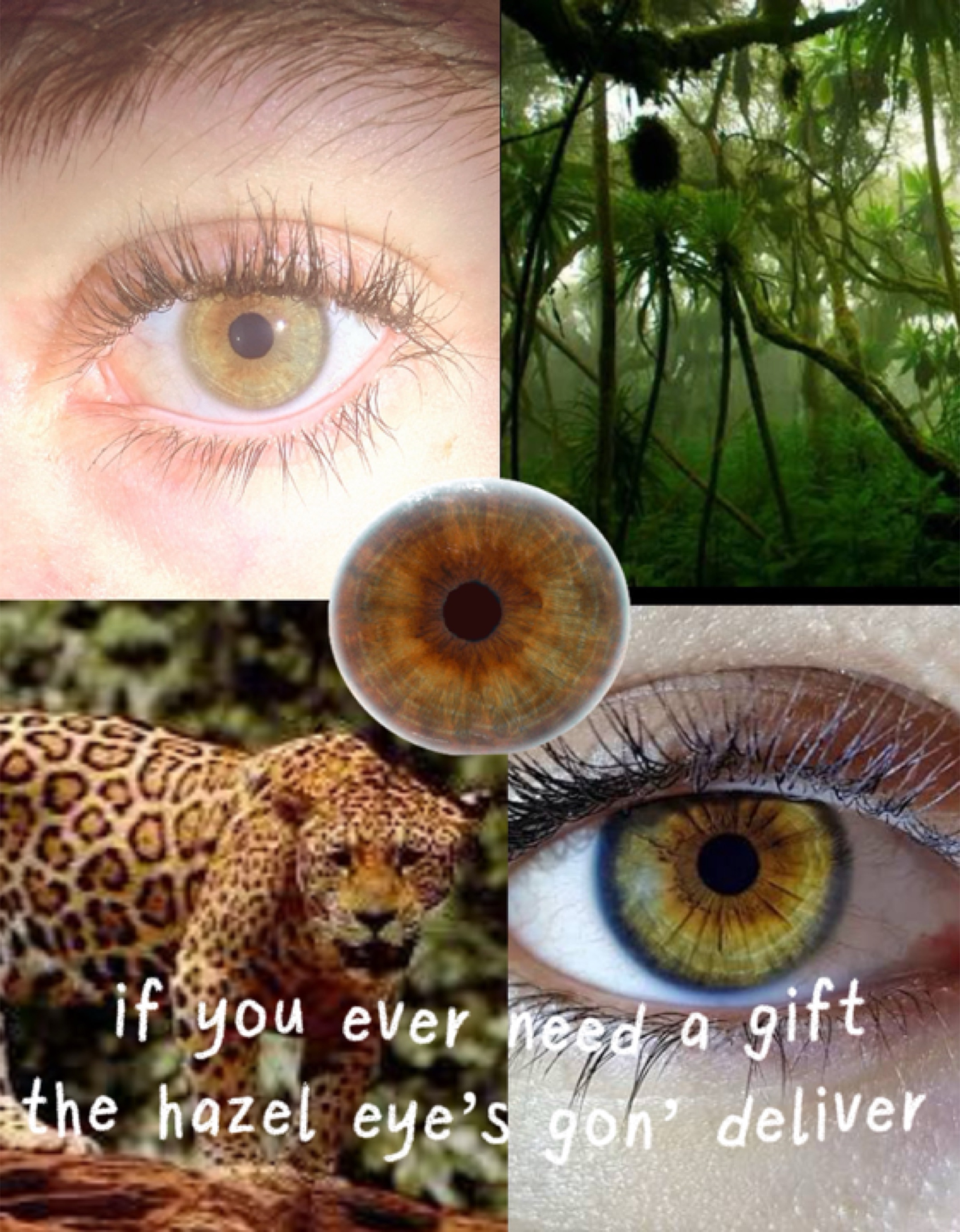 hazel eyes