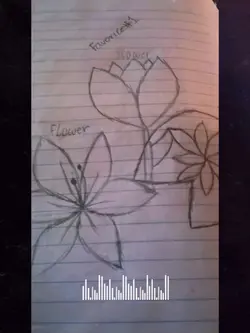 Hand drawing ✍️