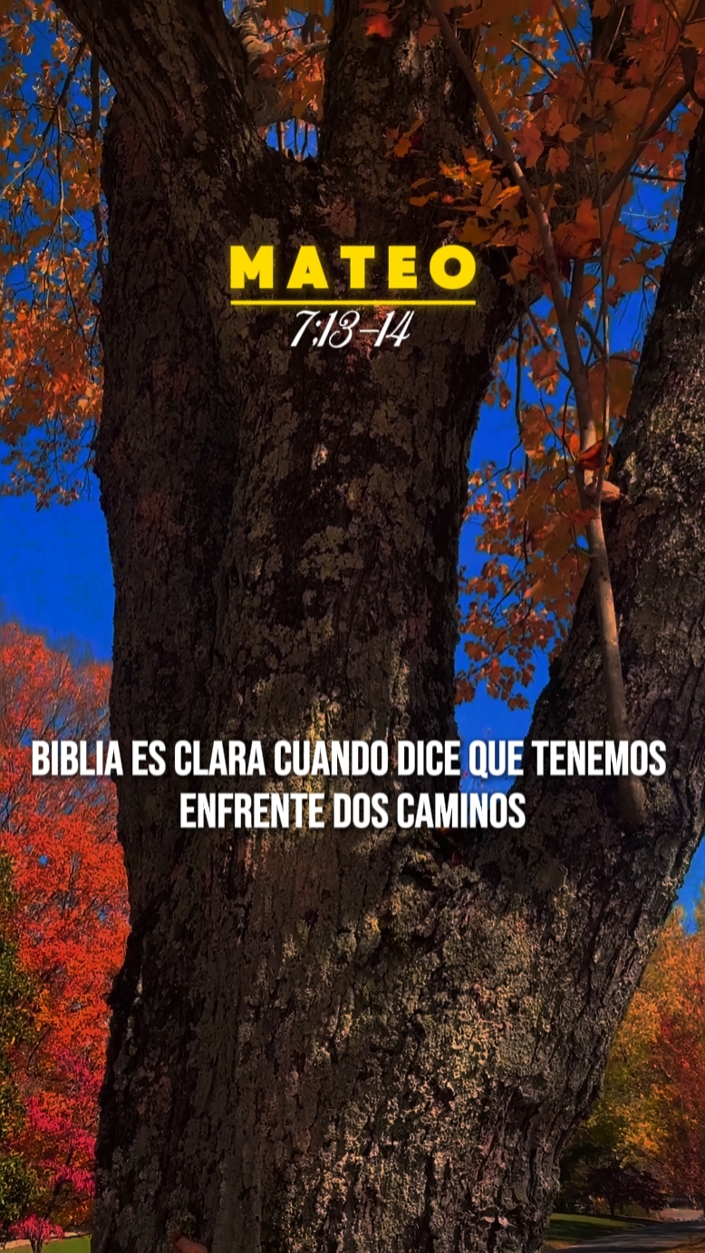 Mateo 7;13-14