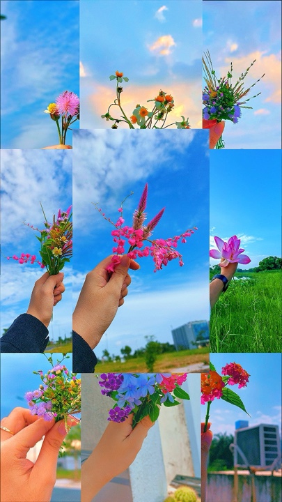 26 pictures clips 