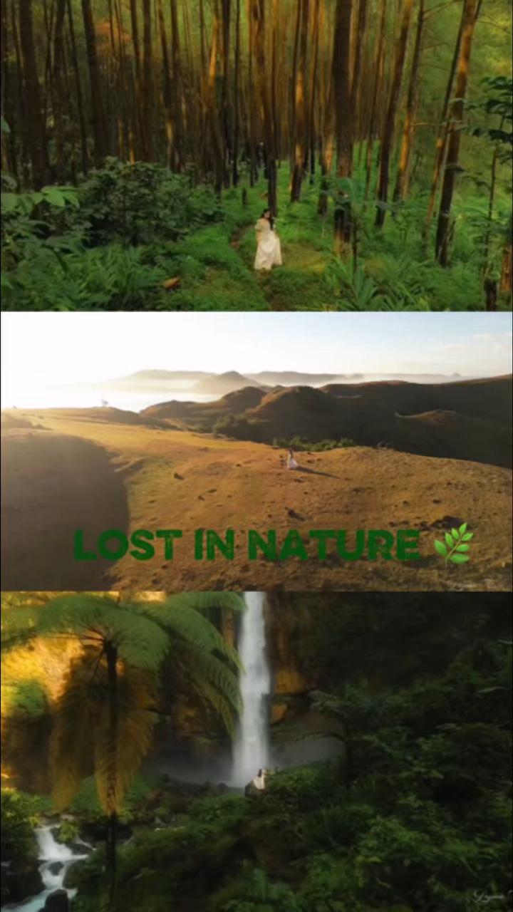 @natureVibes🌿✨