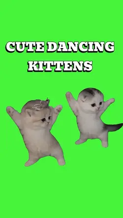 CUTE DANCING KITTENS